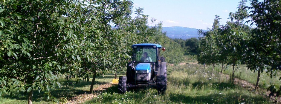 Récolteuse de noix, Ramasseuse de noix - Tous les fabricants de  l'agriculture