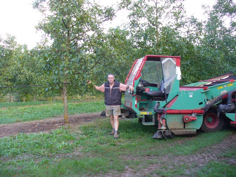 La ramasseuse à noix